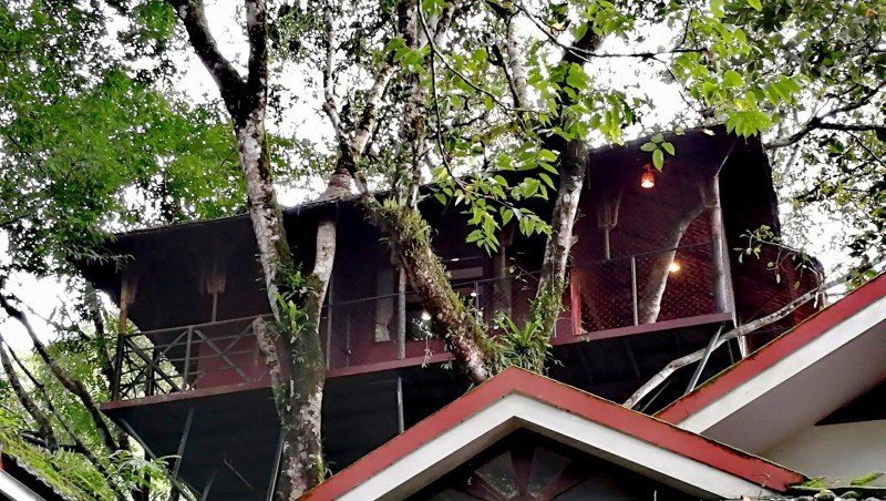Tree House - Vistara Resort