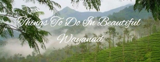 Wayanad Tourism