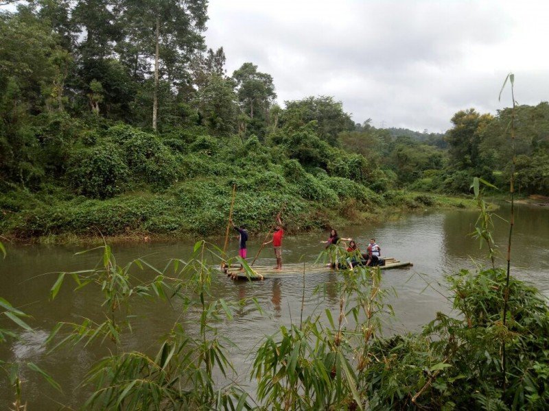 Bamboo Rafting