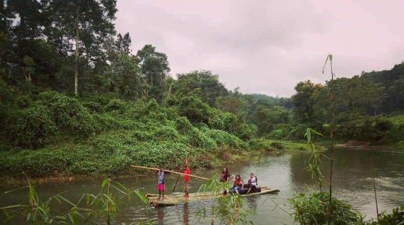 Bamboo Rafting