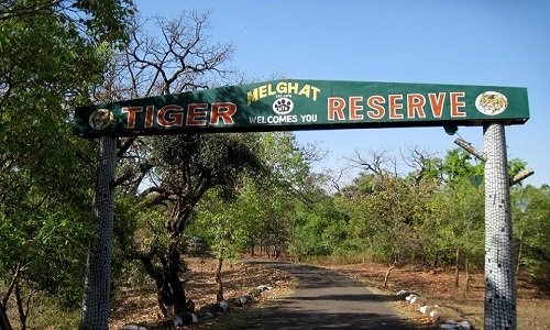 Melghat Tiger Reserve, Amravati 