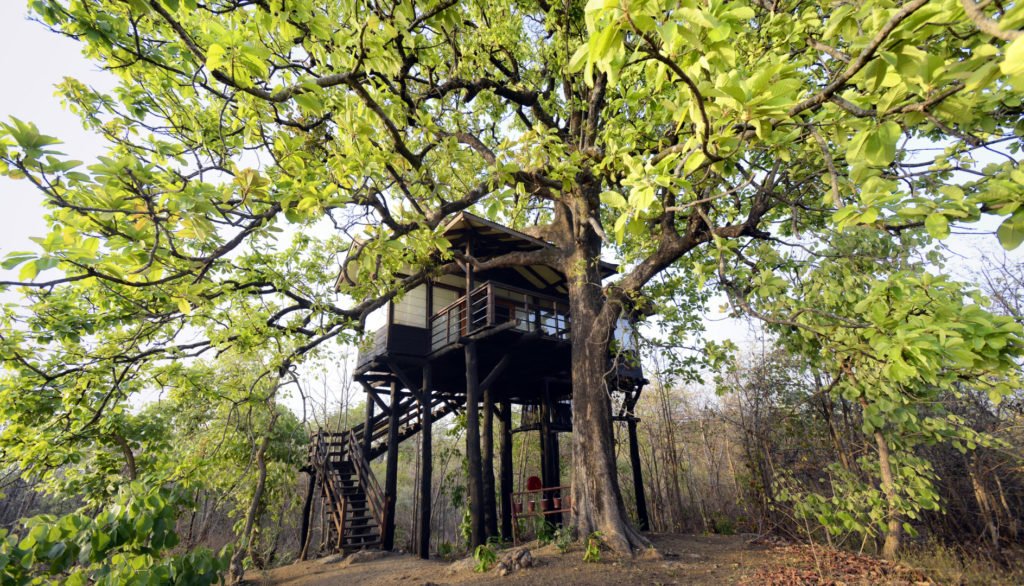 Pench National Park and Tiger Reserve, Nagpur 