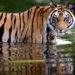 Wildlife Sanctuaries In Maharashtra